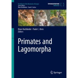 Primates and Lagomorpha