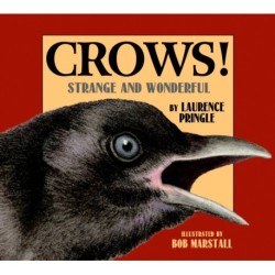 Crows!: Strange and Wonderful