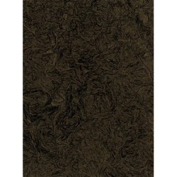 Stacy Kranitz: As It Was Give(n) To Me