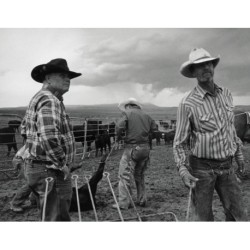 John Langmore - Open Range