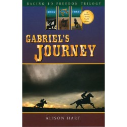 Gabriel's Journey