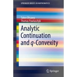 Analytic Continuation and q-Convexity