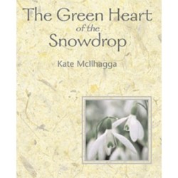 The Green Heart Of The Snowdrop