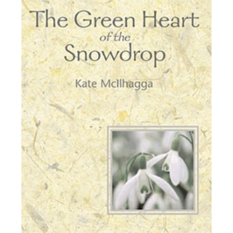 The Green Heart Of The Snowdrop
