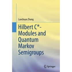 Hilbert C*- Modules and Quantum Markov Semigroups