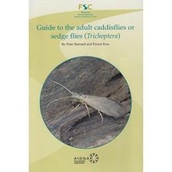 Guide to the Adult Caddisflies or Sedge Flies (Trichoptera)