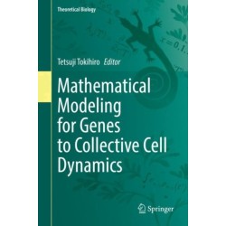 Mathematical Modeling for Genes to Collective Cell Dynamics