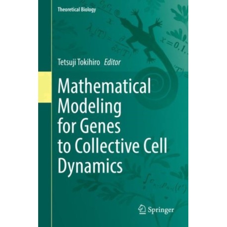 Mathematical Modeling for Genes to Collective Cell Dynamics