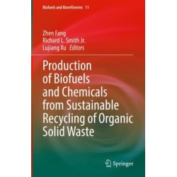 Production of Biofuels and Chemicals from Sustainable Recycling of Organic Solid Waste