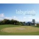 Labyrinth: Landscape of the Soul