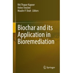 Biochar and its Application in Bioremediation