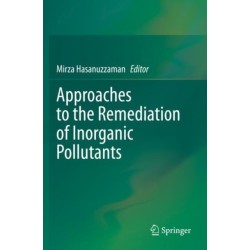 Approaches to the Remediation of Inorganic Pollutants