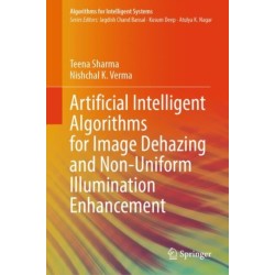 Artificial Intelligent Algorithms for Image Dehazing and Non-Uniform Illumination Enhancement