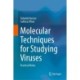 Molecular Techniques for Studying Viruses: Practical Notes