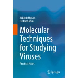 Molecular Techniques for Studying Viruses: Practical Notes