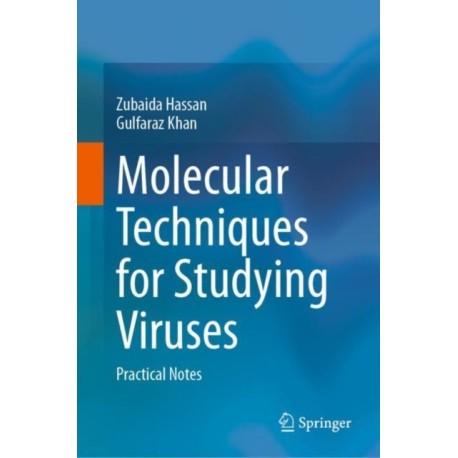 Molecular Techniques for Studying Viruses: Practical Notes