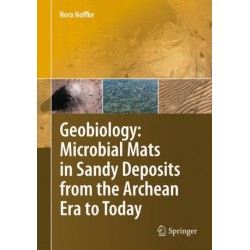 Geobiology: Microbial Mats in Sandy Deposits from the Archean Era to Today