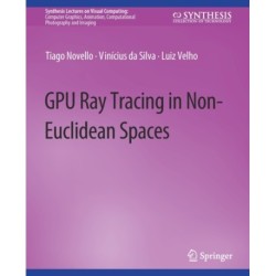 GPU Ray Tracing in Non-Euclidean Spaces