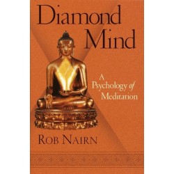 Diamond Mind: A Psychology of Meditation