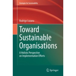 Toward Sustainable Organisations: A Holistic Perspective on Implementation Efforts