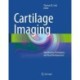Cartilage Imaging: Significance, Techniques, and New Developments