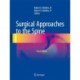 Surgical Approaches to the Spine