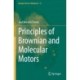 Principles of Brownian and Molecular Motors