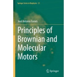 Principles of Brownian and Molecular Motors