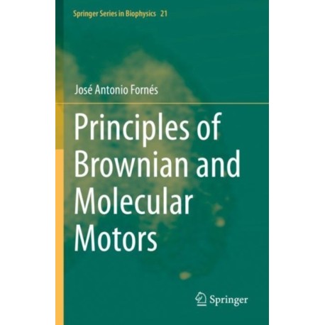 Principles of Brownian and Molecular Motors