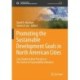 Promoting the Sustainable Development Goals in North American Cities: Case Studies & Best Practices in the Science of Sustainability Indicators