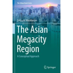 The Asian Megacity Region: A Conceptual Approach