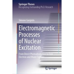 Electromagnetic Processes of Nuclear Excitation: From Direct Photoabsorption to Free Electron and Muon Capture