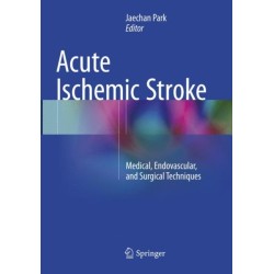Acute Ischemic Stroke: Medical, Endovascular, and Surgical Techniques