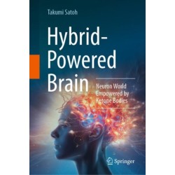 Hybrid-Powered Brain: Neuron World Empowered by Ketone Bodies
