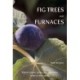 Fig Trees and Furnaces: Biblical stories, scripts and reflections - Esther to Maccabees