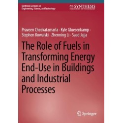The Role of Fuels in Transforming Energy End-Use in Buildings and Industrial Processes
