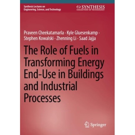 The Role of Fuels in Transforming Energy End-Use in Buildings and Industrial Processes
