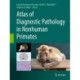 Atlas of Diagnostic Pathology in Nonhuman Primates