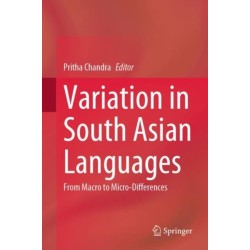 Variation in South Asian Languages: From Macro to Micro-Differences