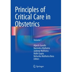 Principles of Critical Care in Obstetrics: Volume I