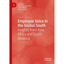Employee Voice in the Global South: Insights from Asia, Africa and South America