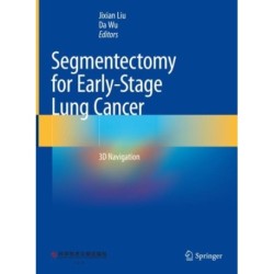Segmentectomy for Early-Stage Lung Cancer: 3D Navigation