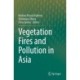 Vegetation Fires and Pollution in Asia