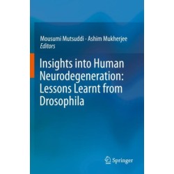 Insights into Human Neurodegeneration: Lessons Learnt from Drosophila