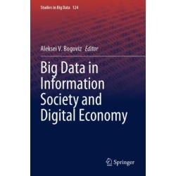 Big Data in Information Society and Digital Economy