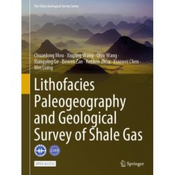 Lithofacies Paleogeography and Geological Survey of Shale Gas