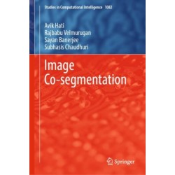 Image Co-segmentation