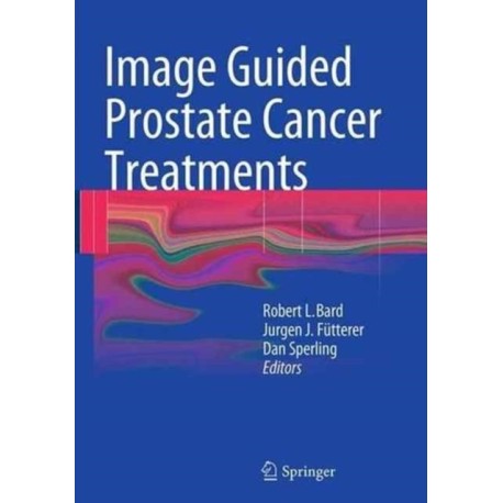 Image Guided Prostate Cancer Treatments
