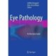 Eye Pathology: An Illustrated Guide