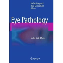 Eye Pathology: An Illustrated Guide